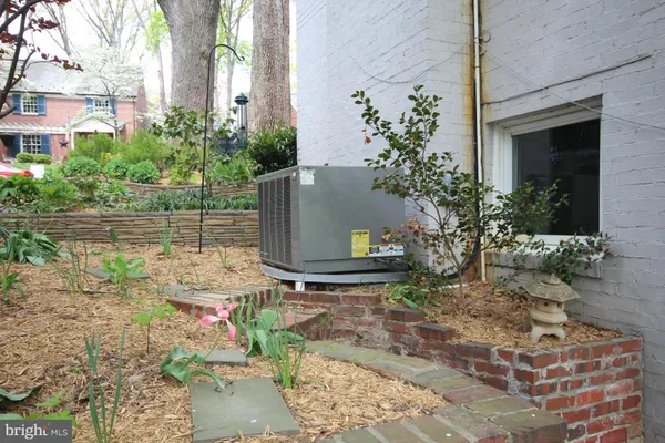 a view of a yard with plants and large trees