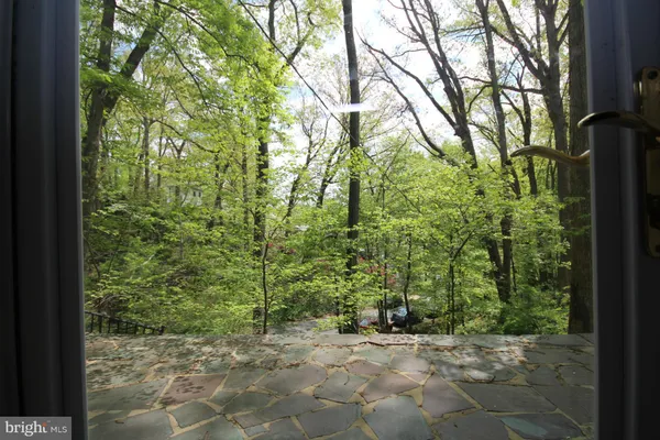 a view of a pathway with a tree