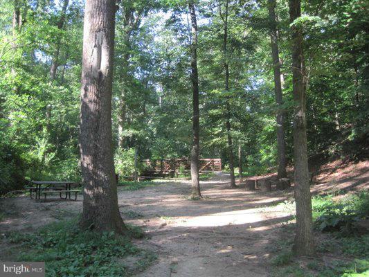 3207 Circle Hill Road Alexandria, VA 22305 - Photo 10 of 51 Community Park