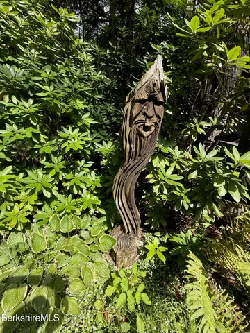 a close up of a plant in a garden