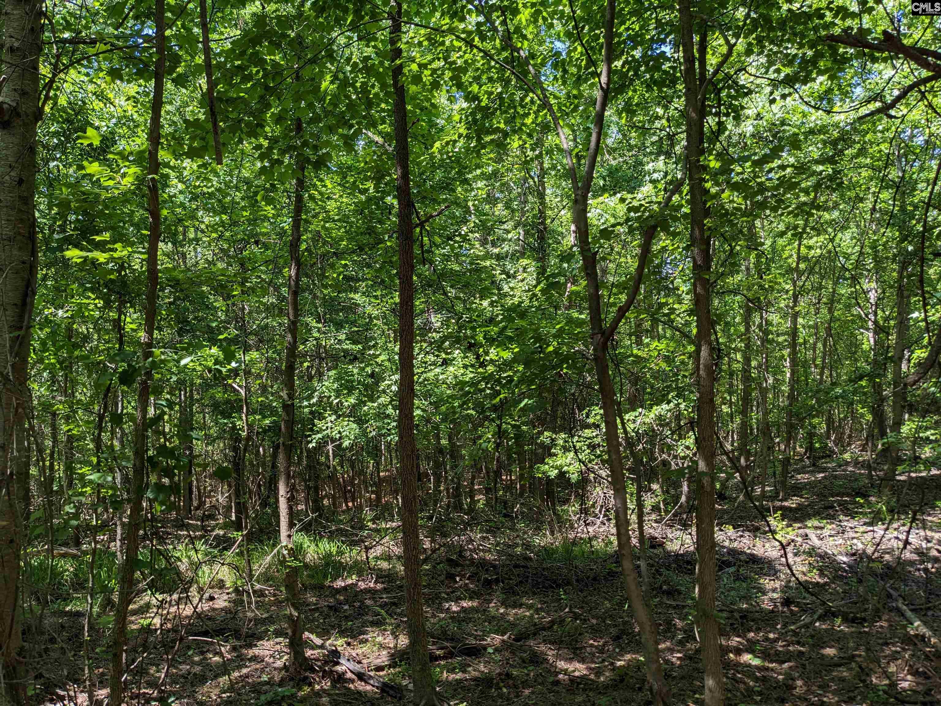 Jewel Drive Ridgeway, SC 29130 - Photo 10 of 20