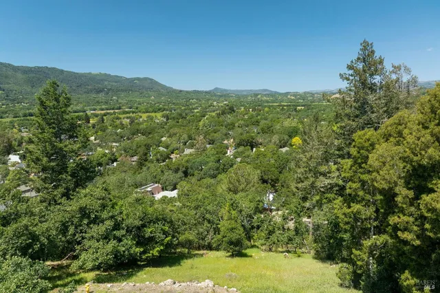 a view of a city with lush green forest
