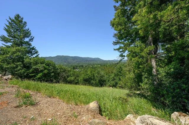 a view of a lush green outdoor space with a lake view