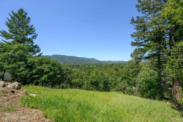 a view of a lush green space with sea