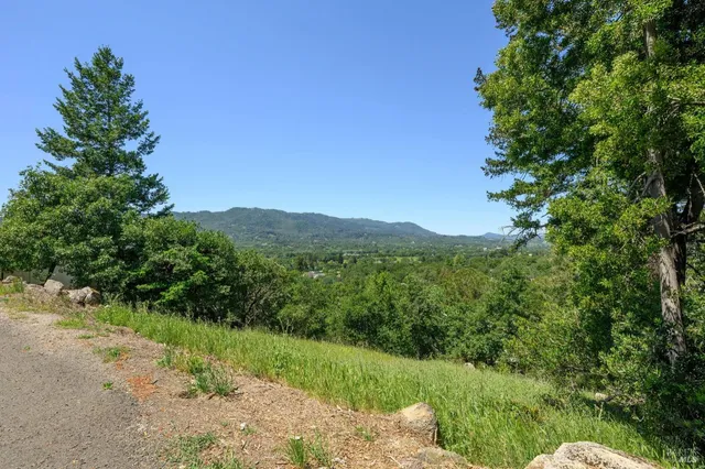 a view of a lush green outdoor space with a lake view