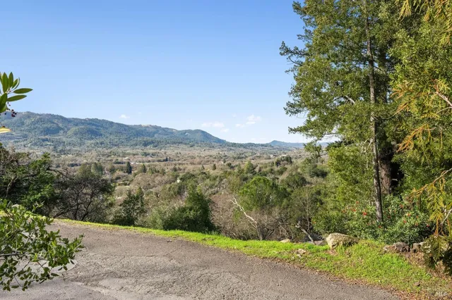 a view of a field with a tree in the background