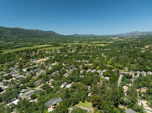 a view of a city with lush green forest