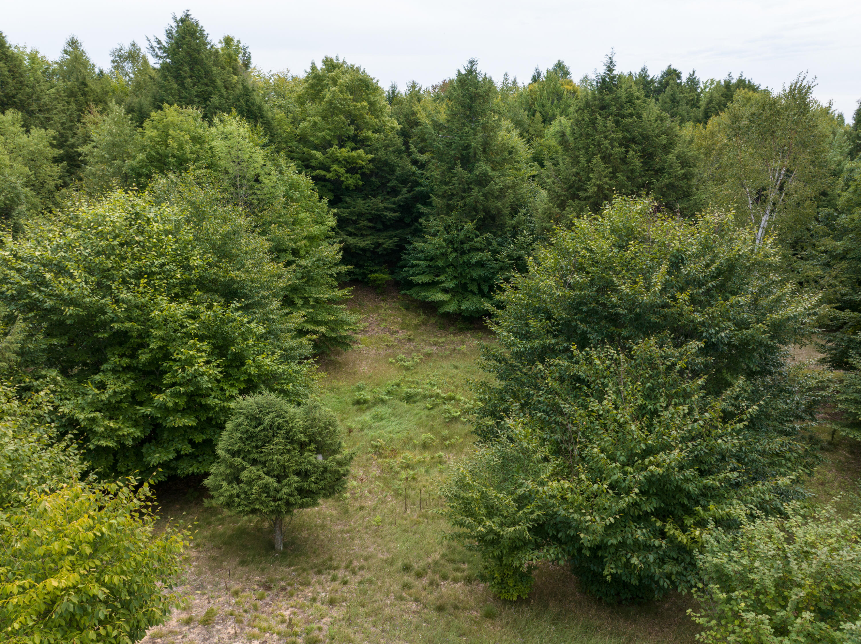 Lot 25 Celestial Ridge Drive Onekama, MI 49675 - Photo 5 of 14 DJI_20230902075525_0311_D