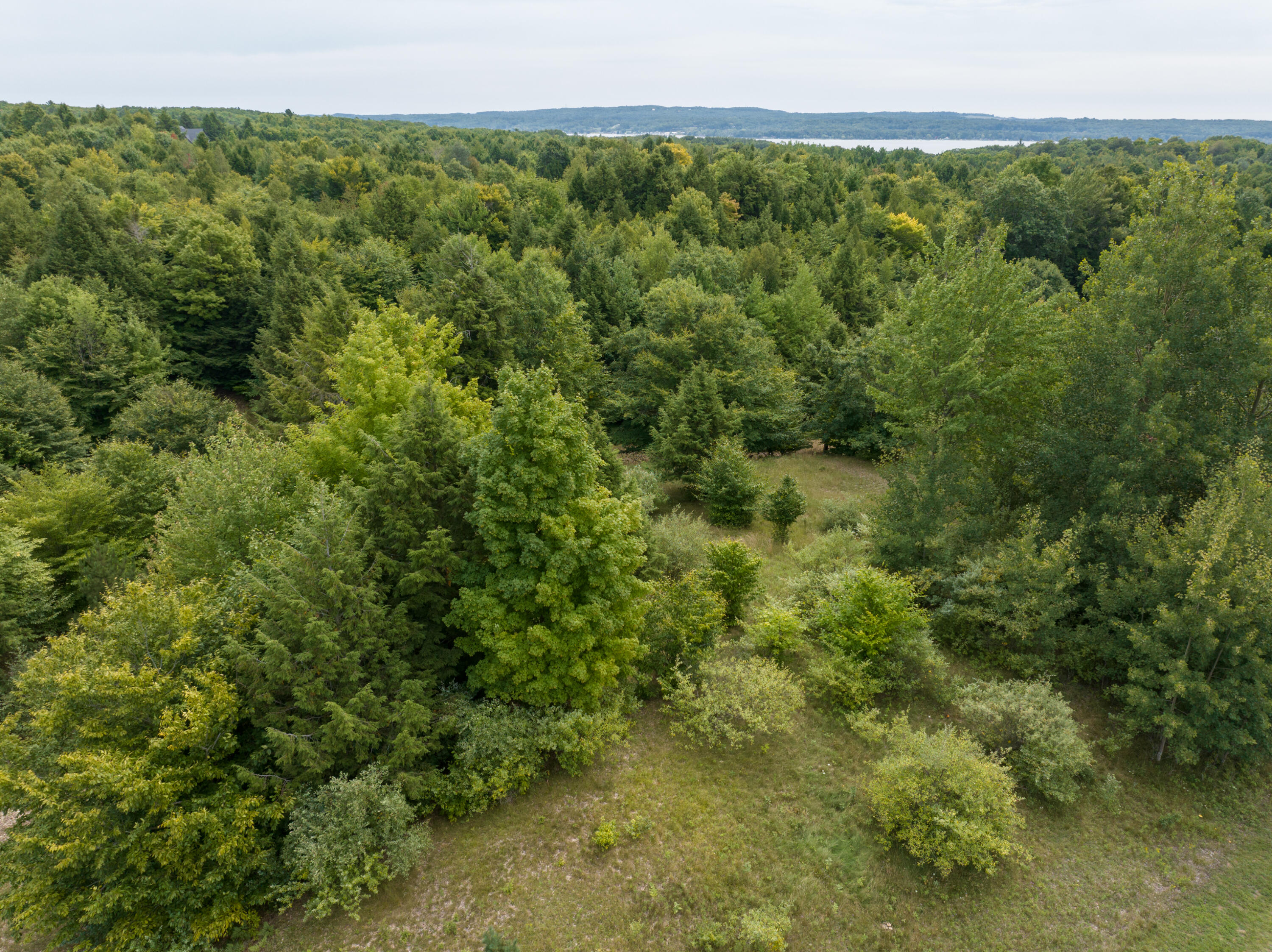 Lot 25 Celestial Ridge Drive Onekama, MI 49675 - Photo 6 of 14 DJI_20230902075946_0315_D