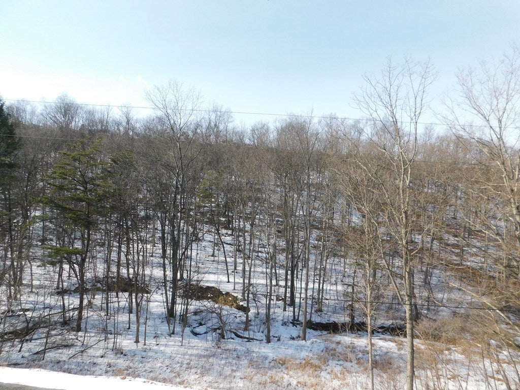0 Lower Ridge Road James Creek, PA 16657 - Photo 9 of 10 Gallery Image 9