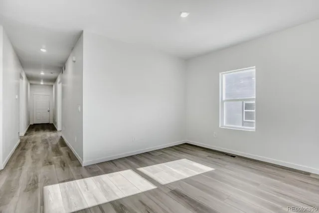 a view of a park with plants and trees