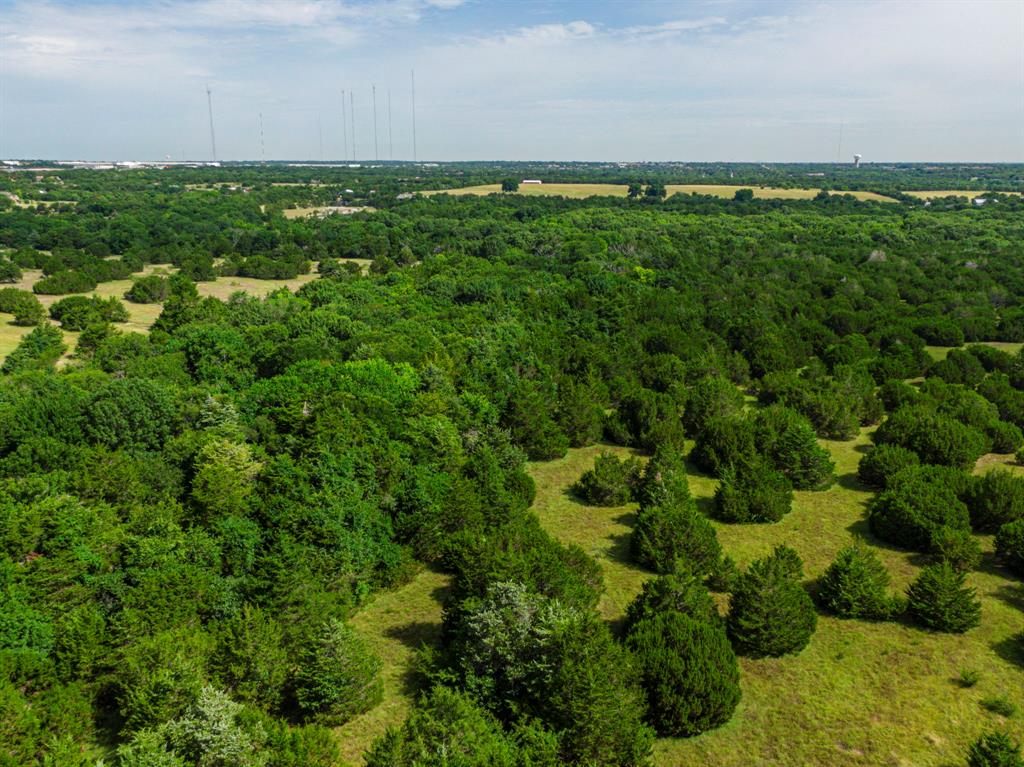 0 Tar Road Cedar Hill, TX 75104 - Photo 11 of 16 a view of a lush green space