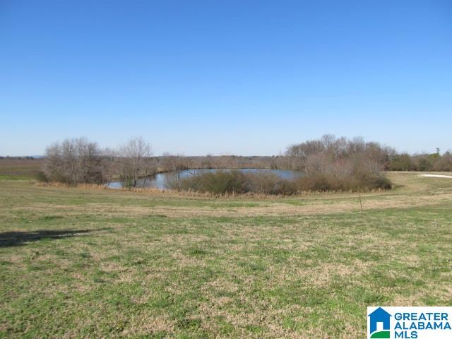 1005 Ruel Snead Road Altoona, AL 35952 - Photo 42 of 42