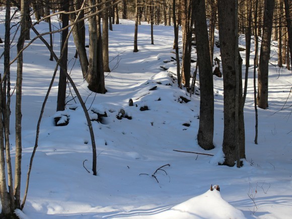 801 Brookfield Road Berlin, VT 05663 - Photo 12 of 16