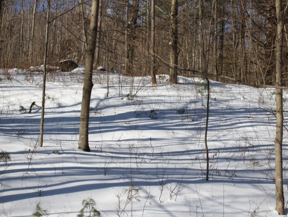 801 Brookfield Road Berlin, VT 05663 - Photo 13 of 16