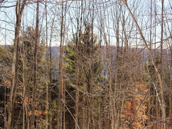 801 Brookfield Road Berlin, VT 05663 - Photo 14 of 16