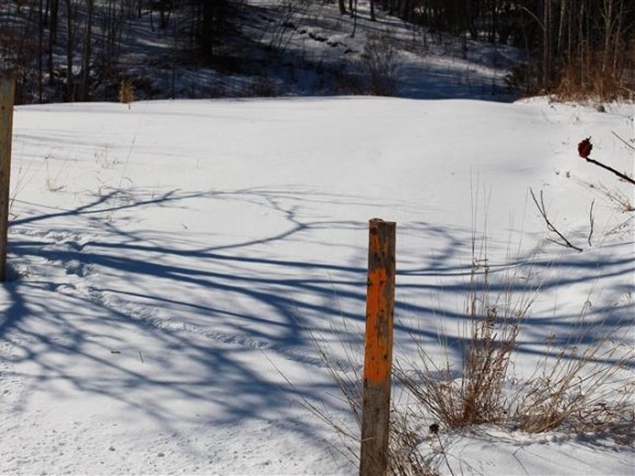 801 Brookfield Road Berlin, VT 05663 - Photo 16 of 16
