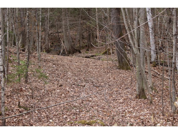 801 Brookfield Road Berlin, VT 05663 - Photo 5 of 16