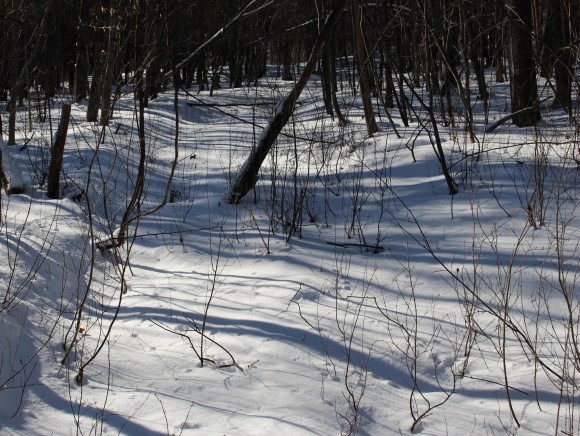 801 Brookfield Road Berlin, VT 05663 - Photo 8 of 16