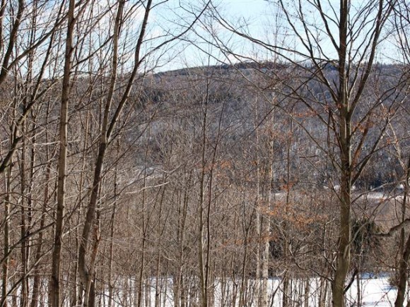 801 Brookfield Road Berlin, VT 05663 - Photo 9 of 16