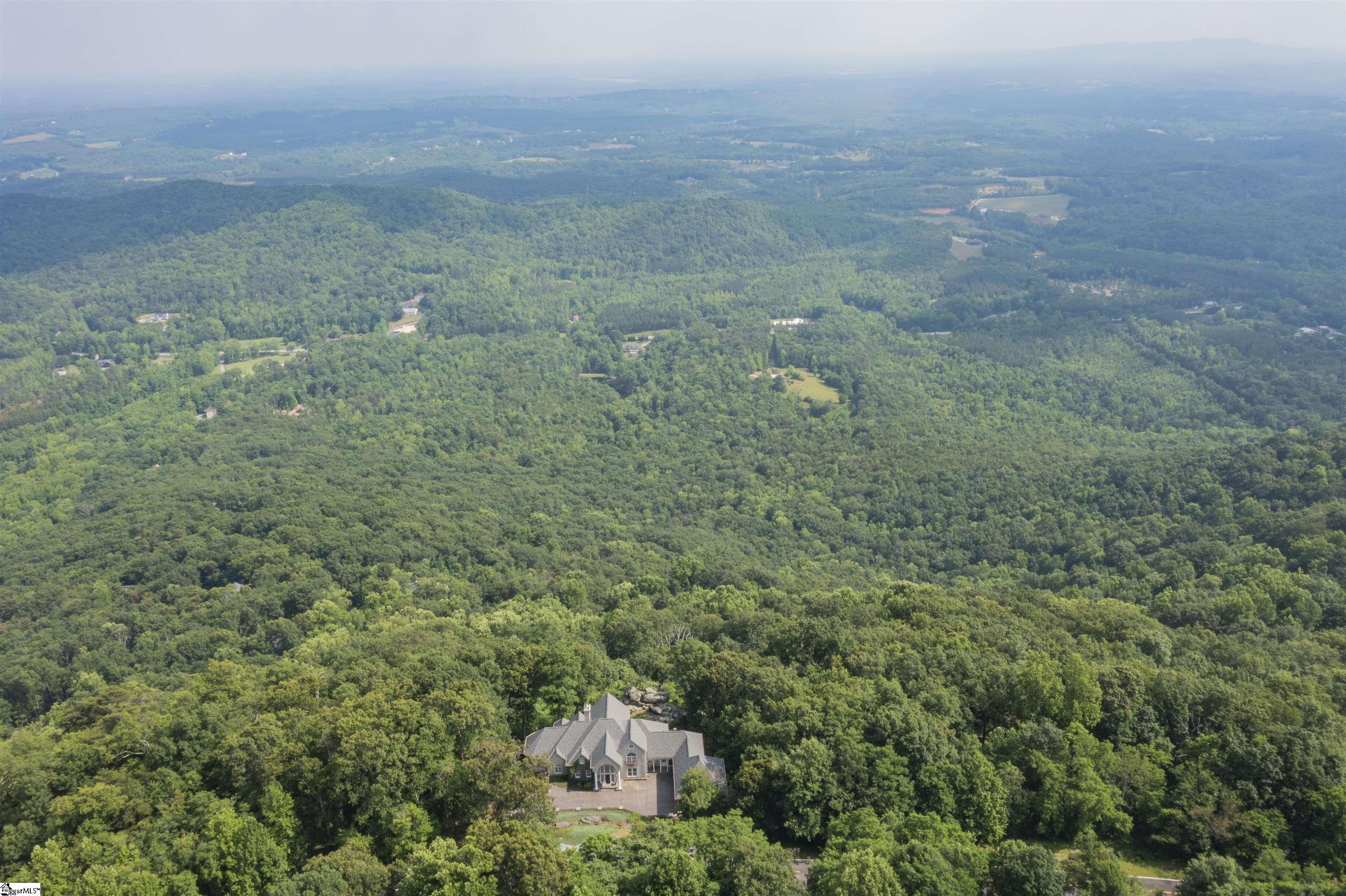 33 Southview Ledge Road Landrum, SC 29356 - Photo 44 of 47