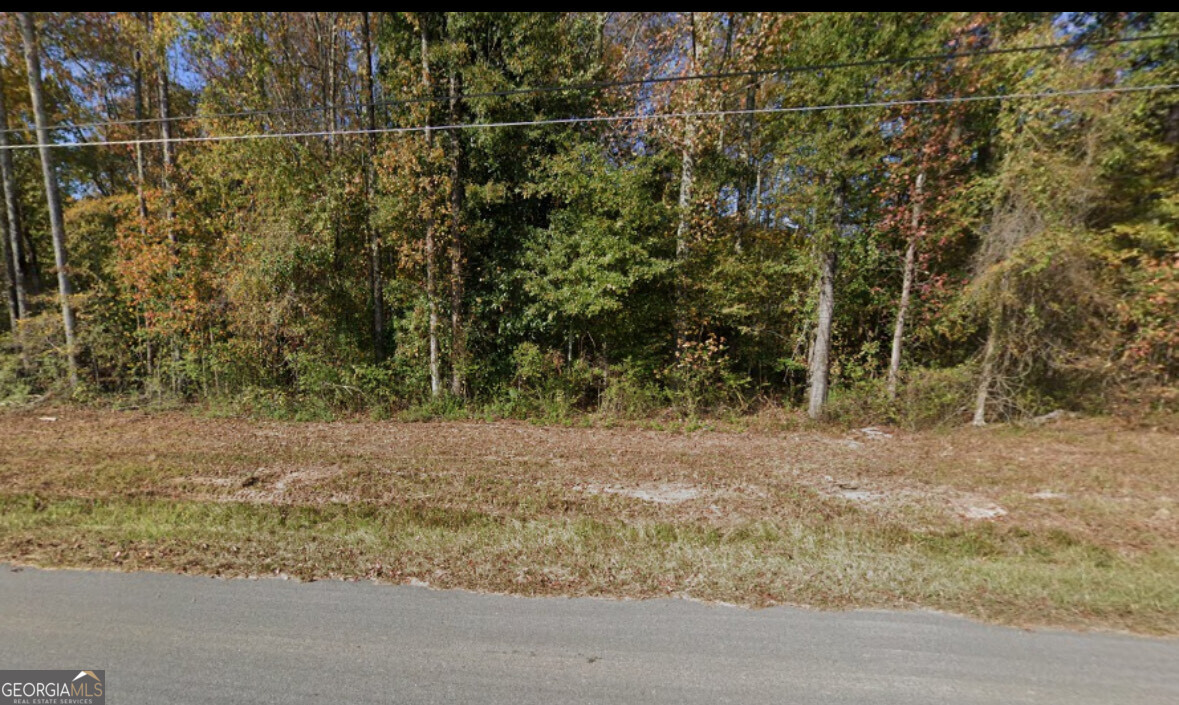 0 City Pond Road Oxford, GA 30054 - Photo 8 of 9 a view of a yard with a tree