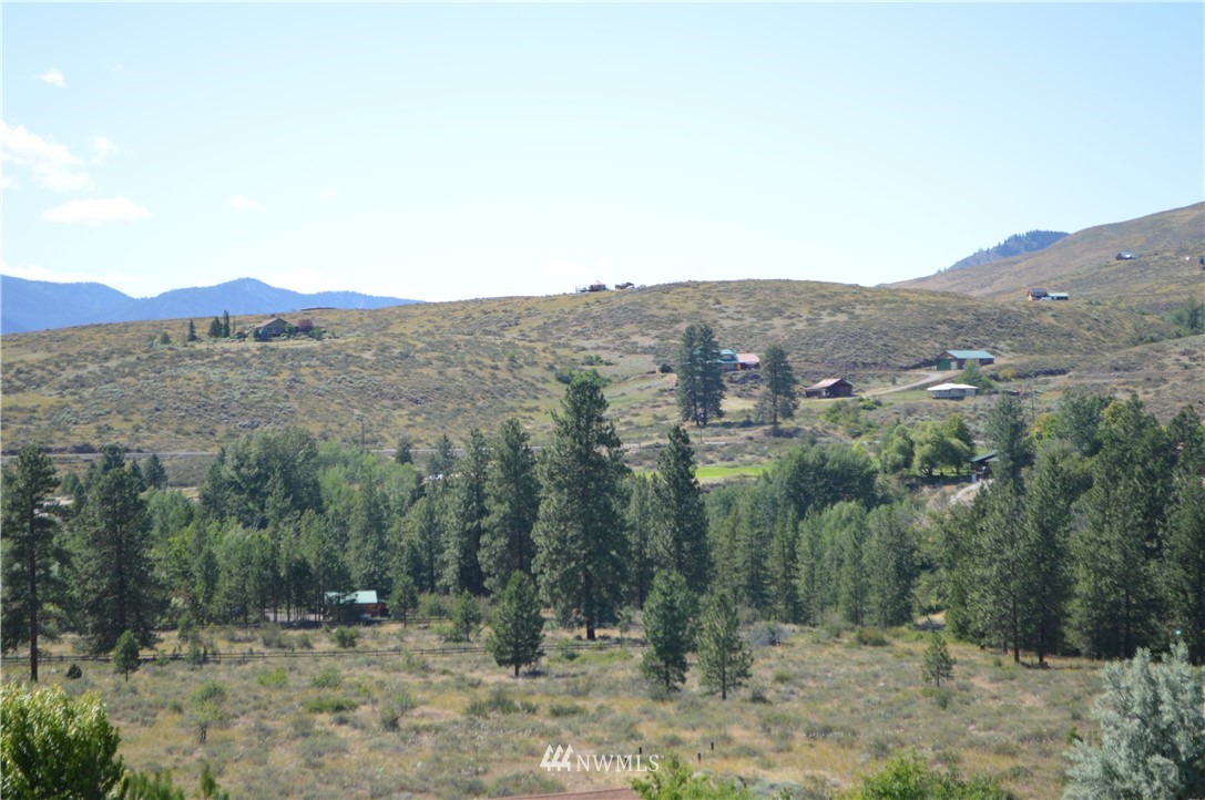 141 East Chewuch Road Winthrop, WA 98862 - Photo 29 of 39 Gallery Image 29