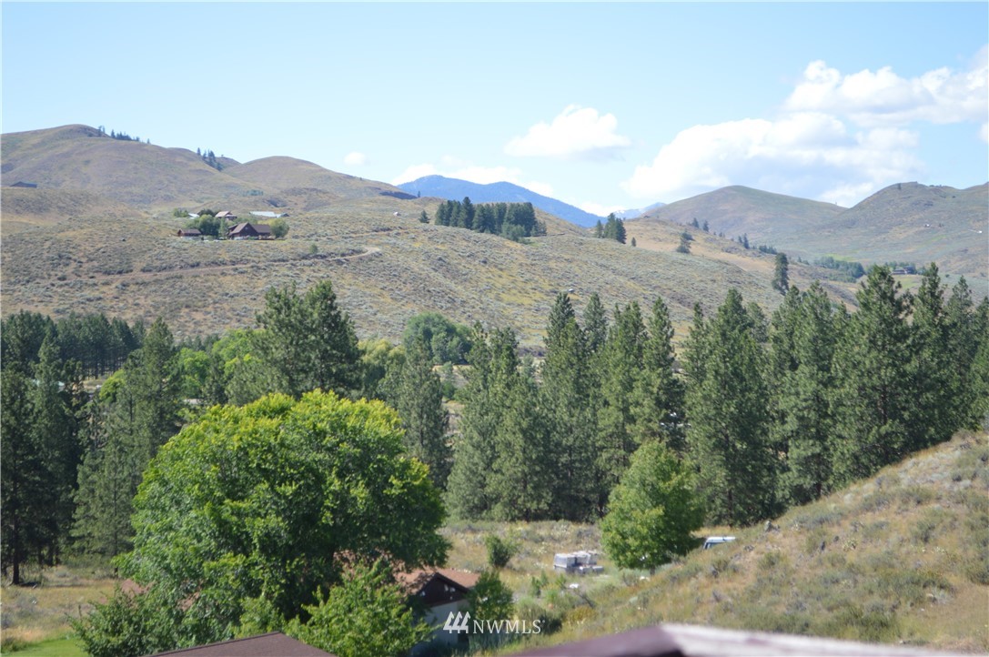 141 East Chewuch Road Winthrop, WA 98862 - Photo 30 of 39 Gallery Image 30