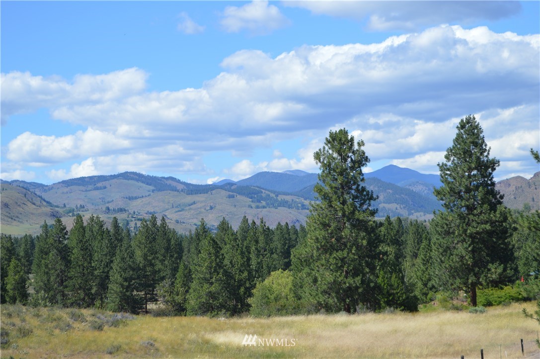 141 East Chewuch Road Winthrop, WA 98862 - Photo 31 of 39 Gallery Image 31