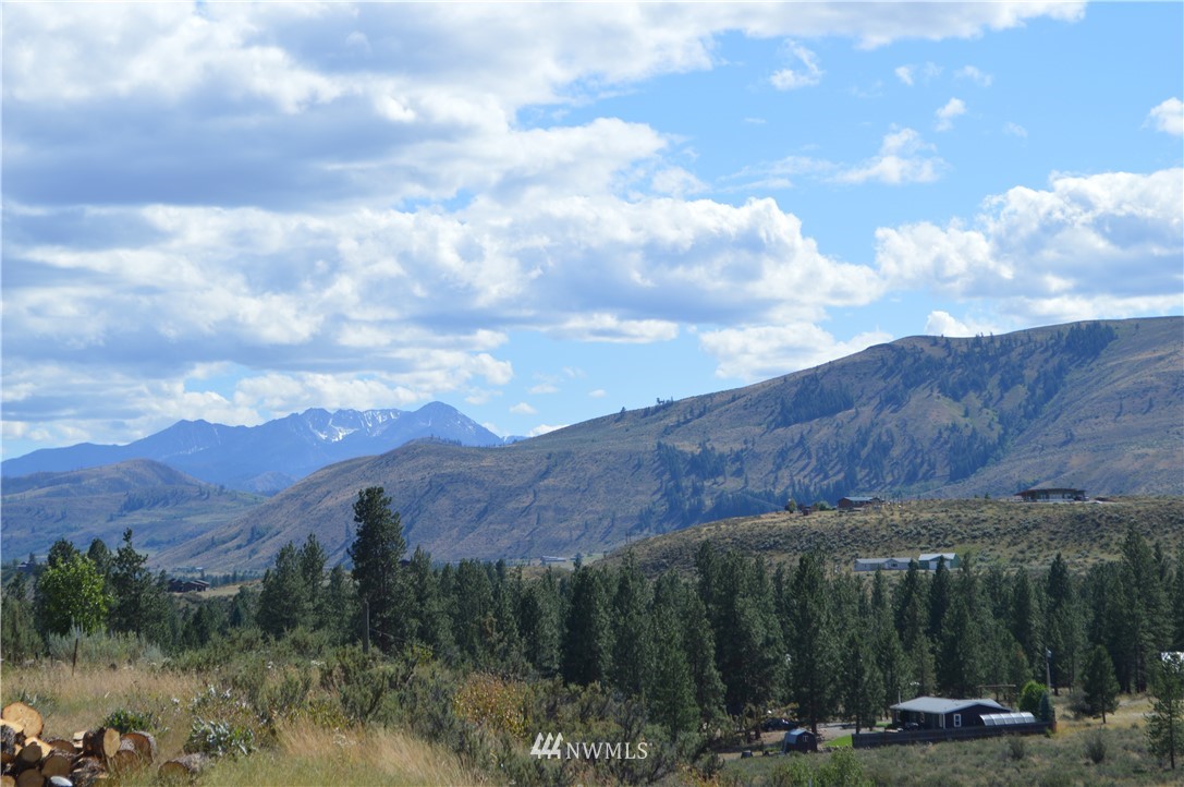 141 East Chewuch Road Winthrop, WA 98862 - Photo 32 of 39 Gallery Image 32