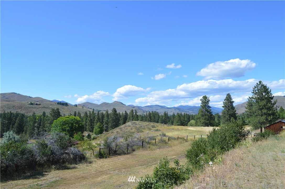 141 East Chewuch Road Winthrop, WA 98862 - Photo 39 of 39 Gallery Image 39