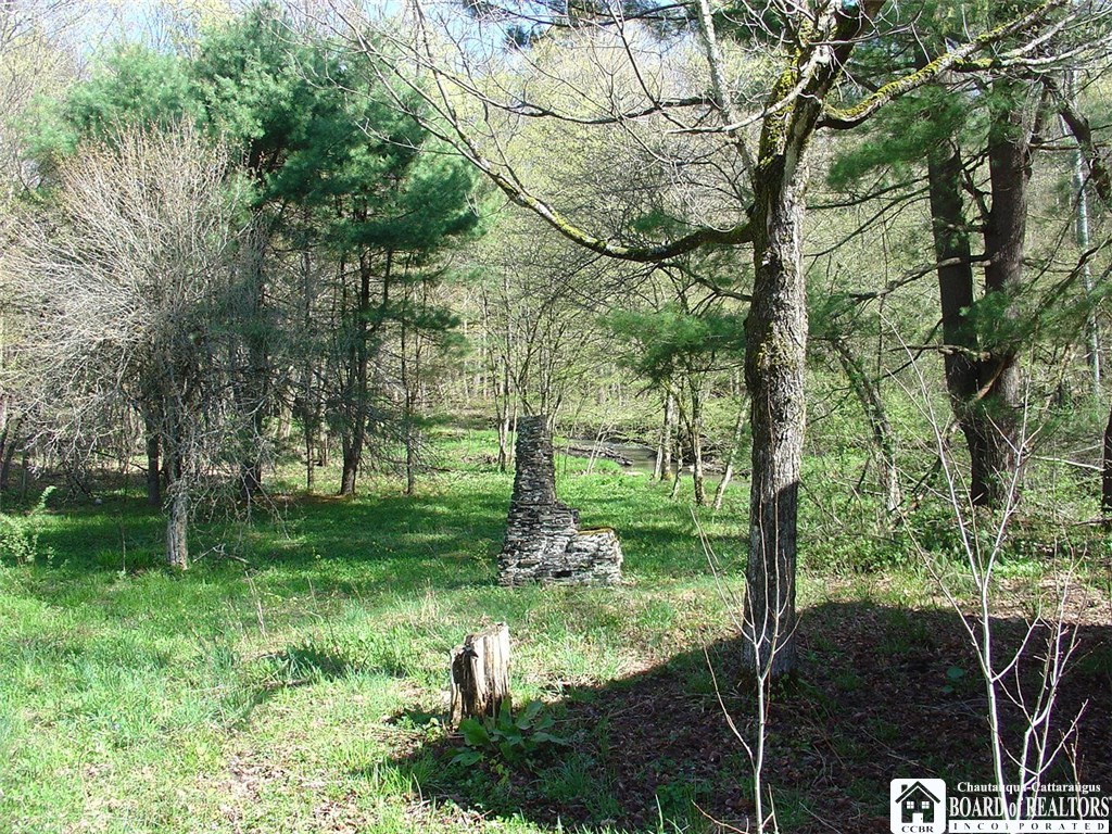 0 Pierce Run Road Frewsburg, NY 14738 - Photo 1 of 1