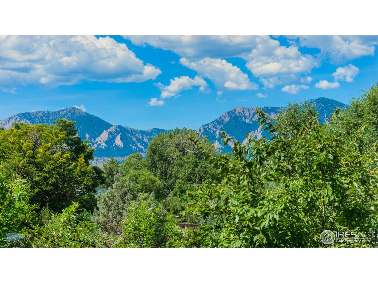 6423 Clearview Road Boulder, CO 80303 - Photo 12 of 40 a open area with lots of green trees