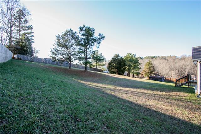 7592 Cherokee Hills Road Fairview, TN 37062 - Photo 16 of 20