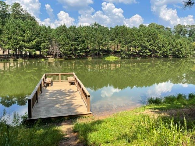 201 Providence Lane Canton, GA 30114 - Photo 48 of 50 a view of a lake with a yard and large trees