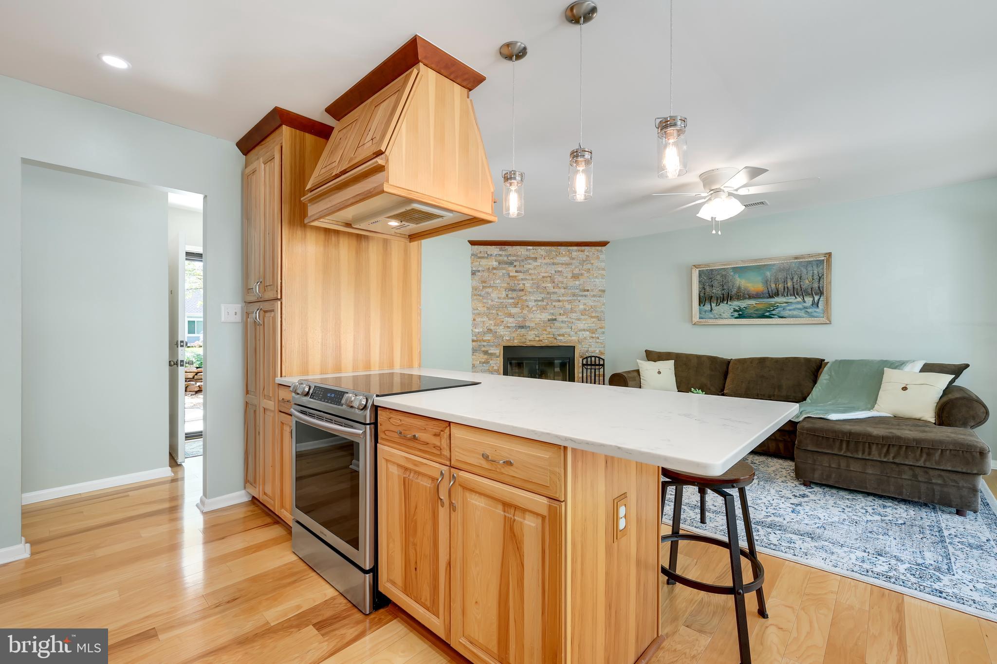11302 Geddys Court Reston, VA 20191 - Photo 5 of 49 Gallery Image 5