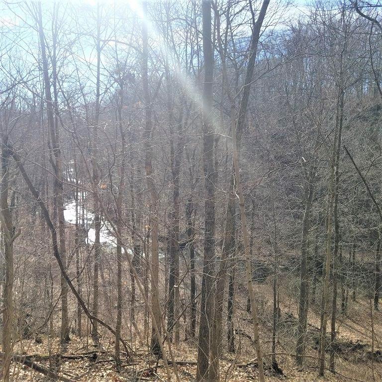 10869 West Base Line Road Paragon, IN 46166 - Photo 4 of 60