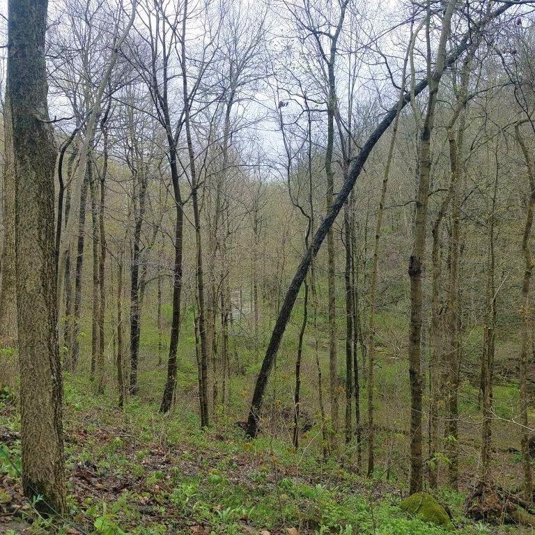 10869 West Base Line Road Paragon, IN 46166 - Photo 46 of 60
