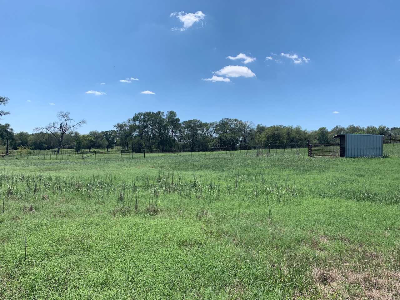 133 Clearfork Road Lockhart, TX 78644 - Photo 4 of 19 a view of a grassy field