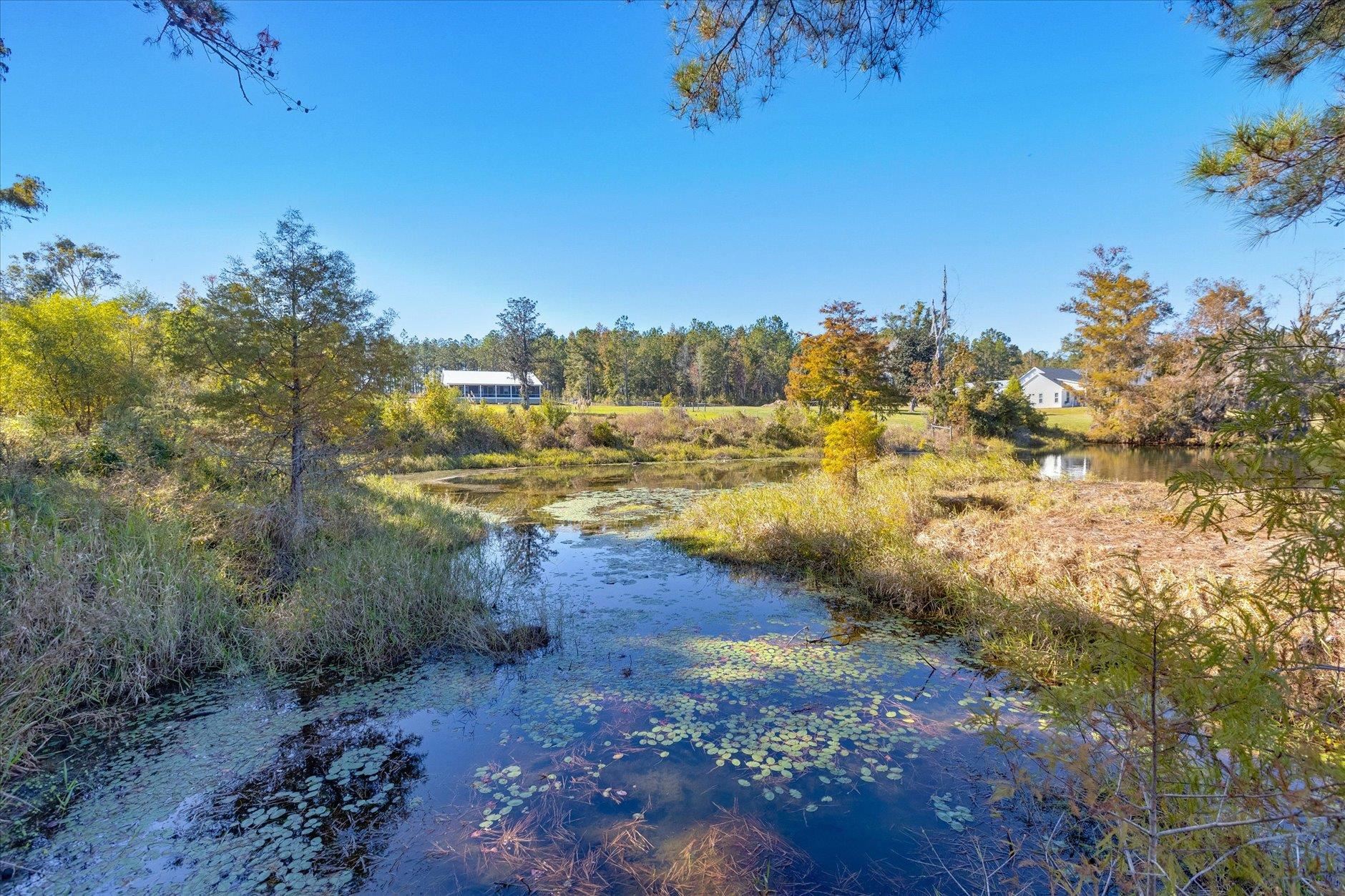 1627 Lloyd Creek Road Monticello, FL 32344 - Photo 14 of 70