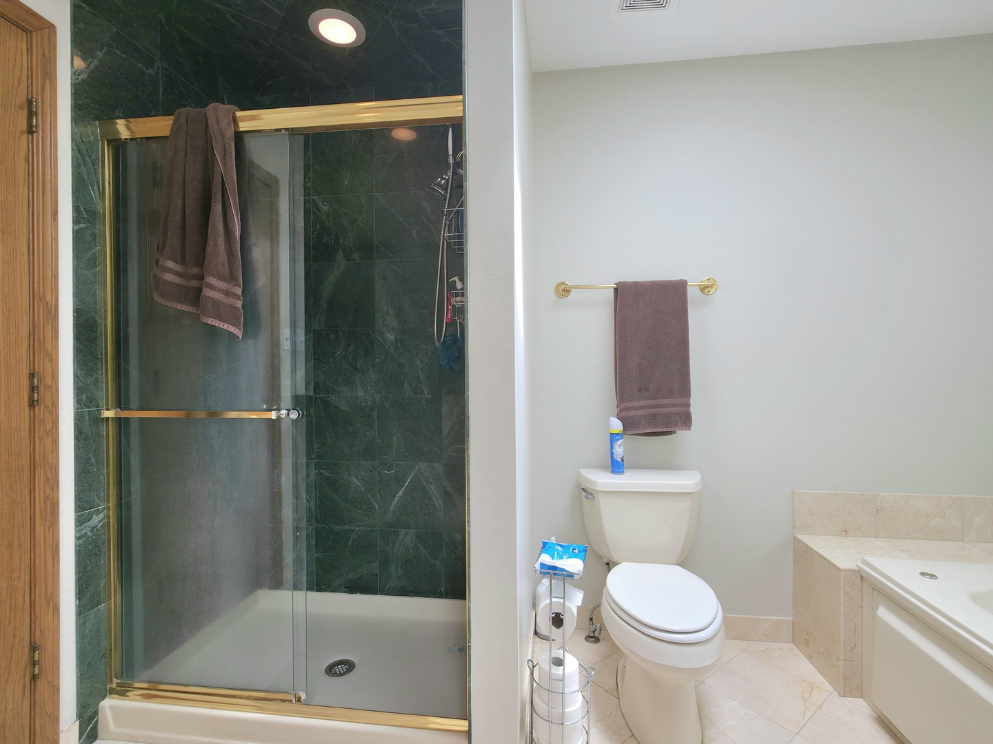 10160 Lancaster Drive Mokena, IL 60448 - Photo 28 of 41 a bathroom with a shower a toilet and a sink