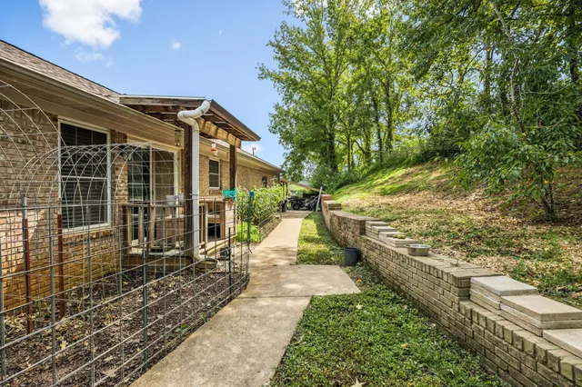 a view of a yard with a tree