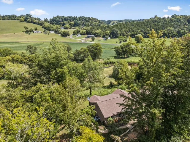 an aerial view of residential houses with outdoor space and trees
