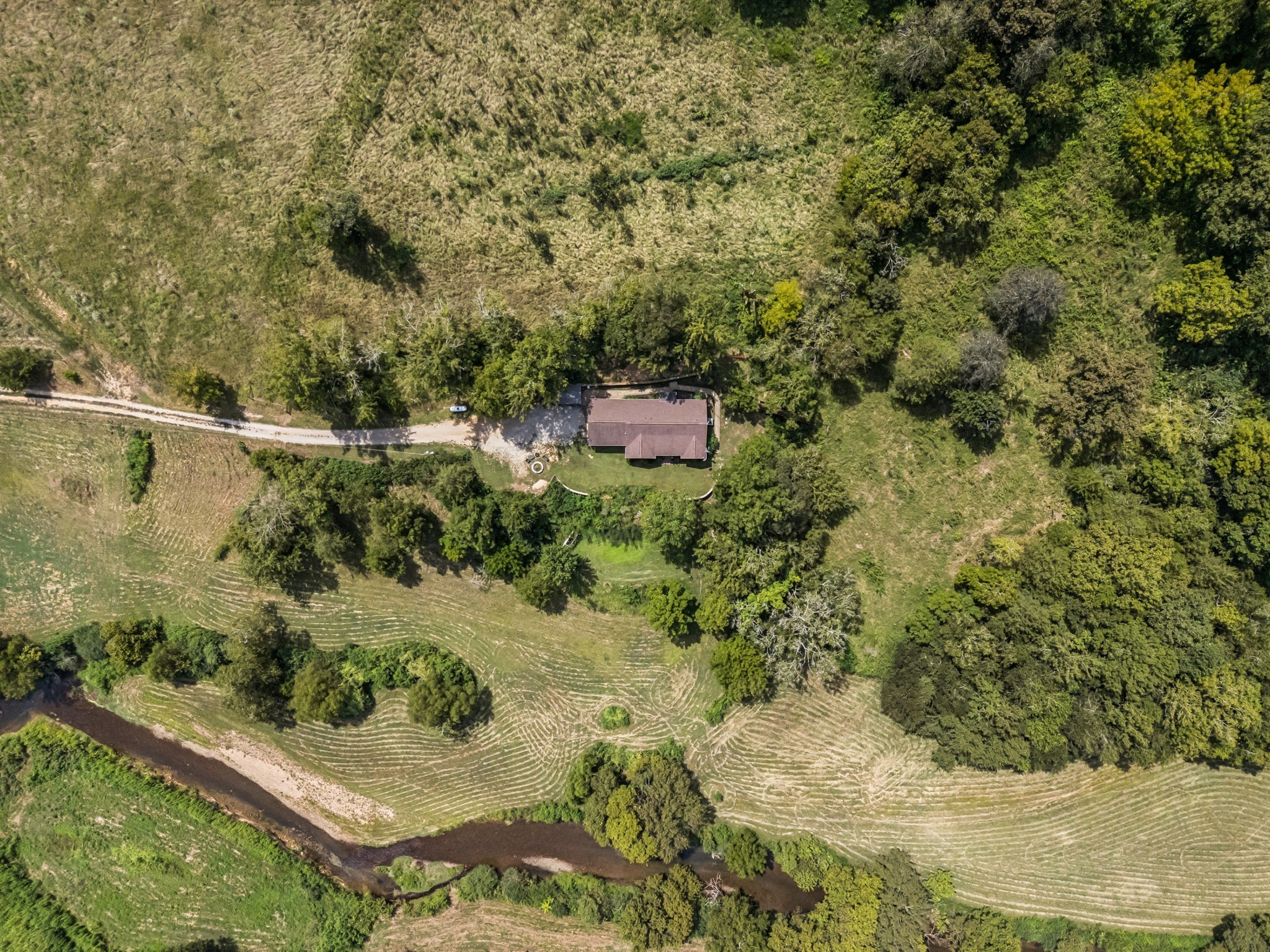 4951 Weakley Creek Road Lawrenceburg, TN 38464 - Photo 58 of 75 a view of a yard with plants