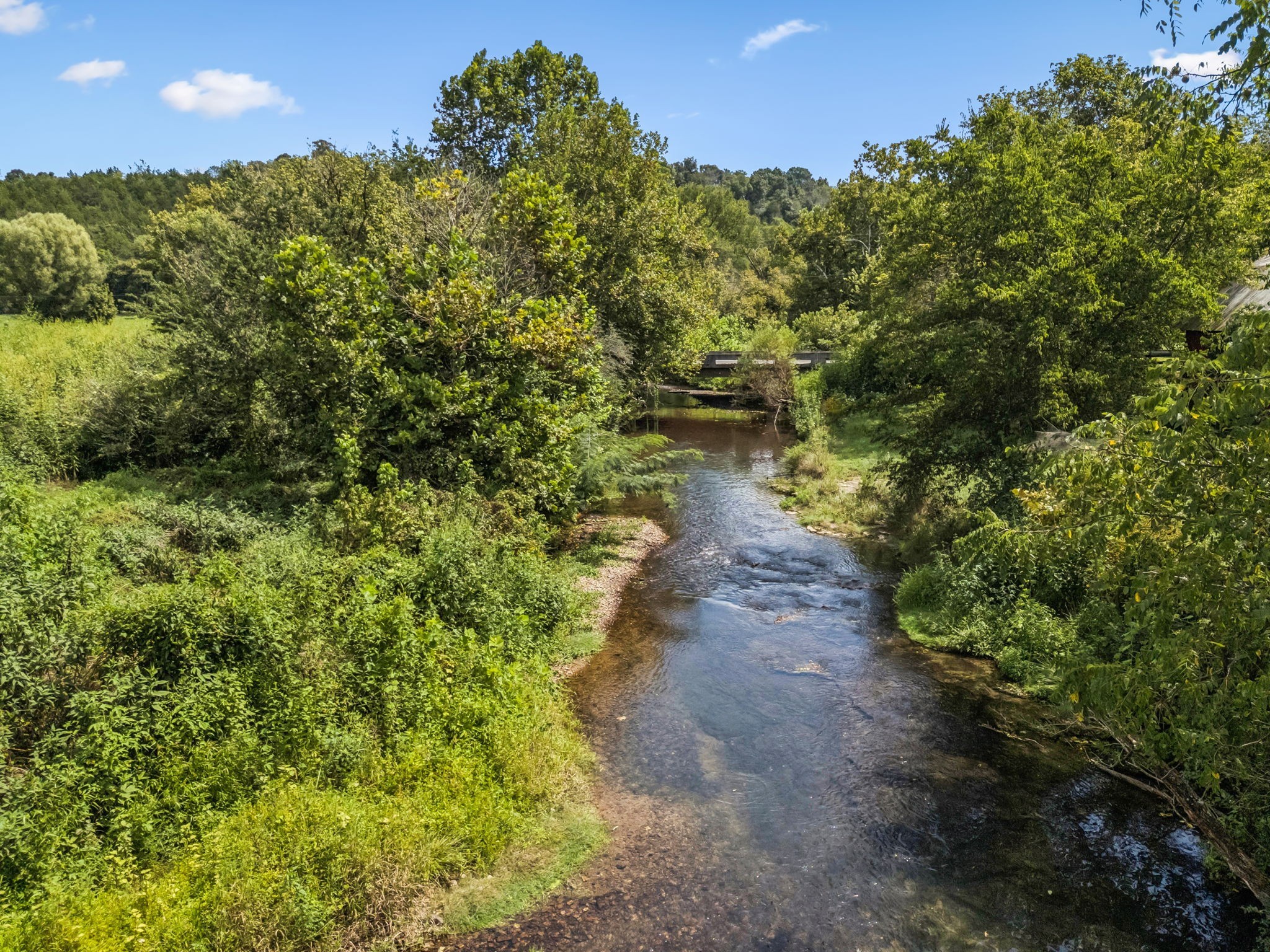 4951 Weakley Creek Road Lawrenceburg, TN 38464 - Photo 62 of 75 a view of a pathway both side of yard