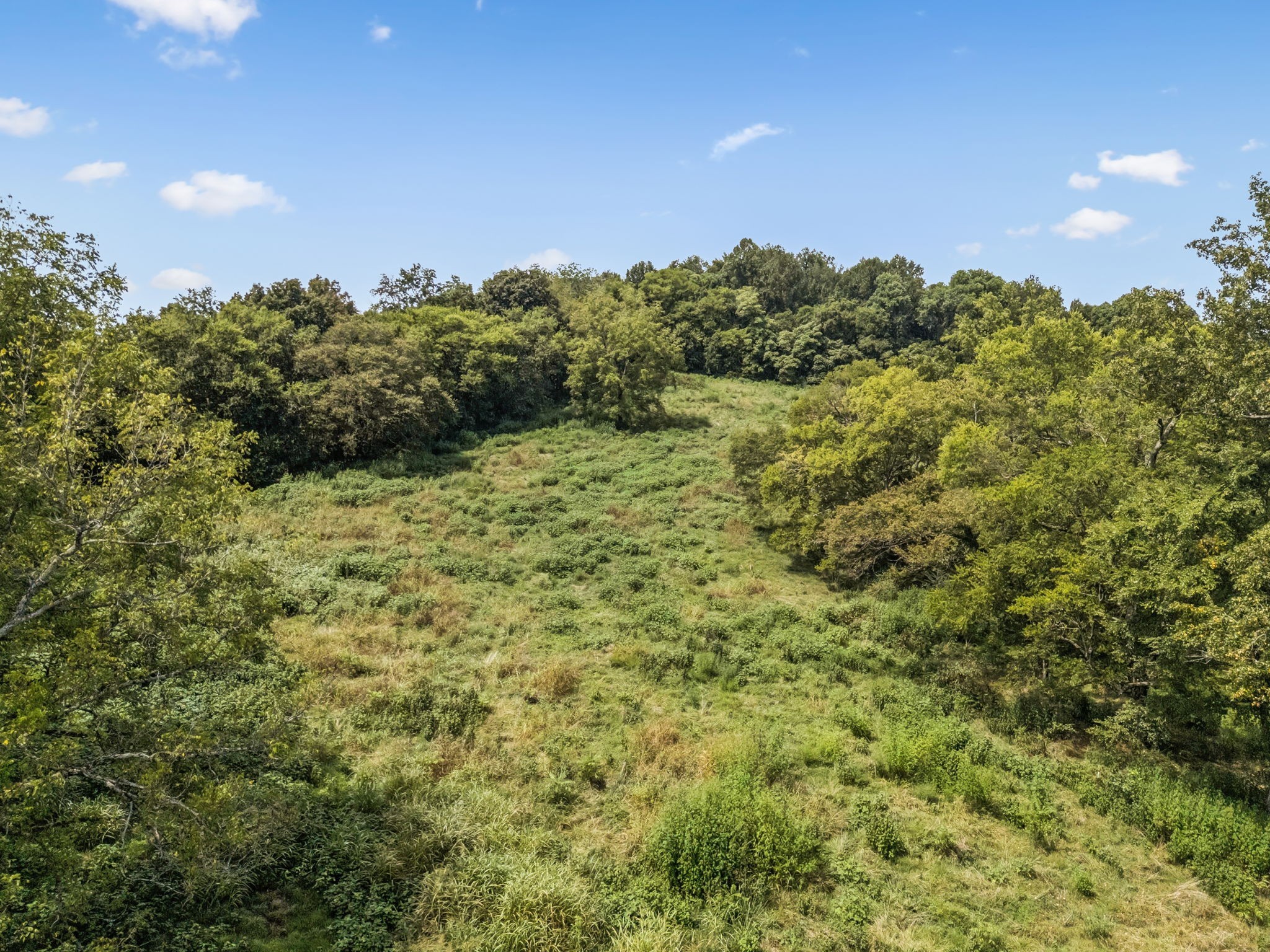 4951 Weakley Creek Road Lawrenceburg, TN 38464 - Photo 68 of 75 a view of a field