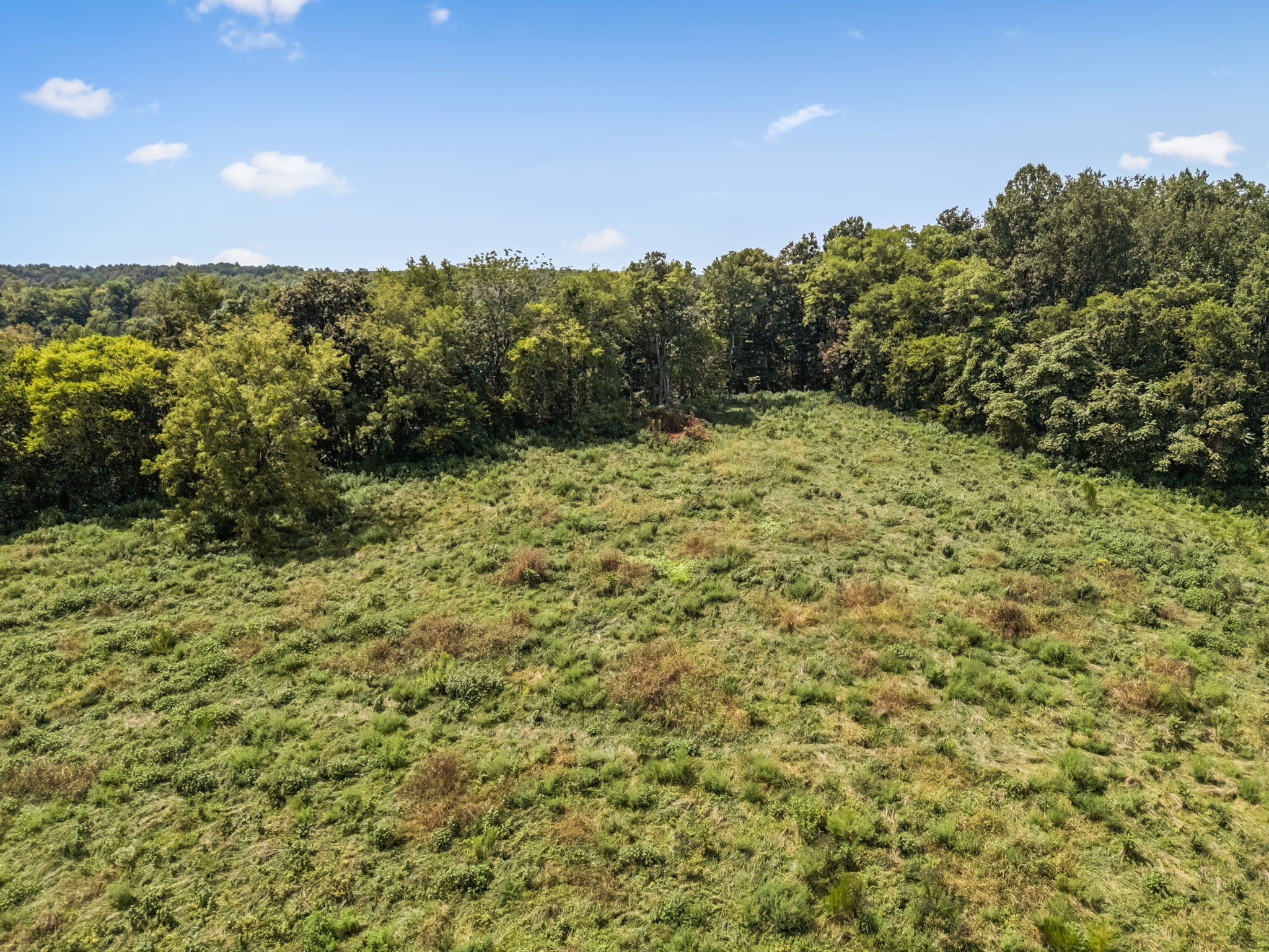 4951 Weakley Creek Road Lawrenceburg, TN 38464 - Photo 71 of 75