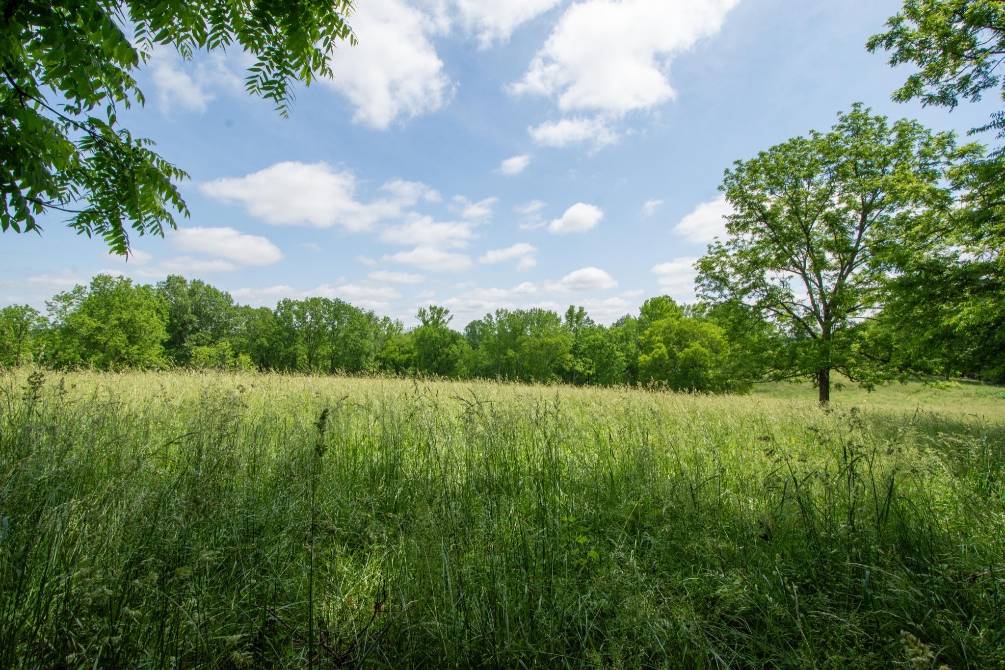 4951 Weakley Creek Road Lawrenceburg, TN 38464 - Photo 75 of 75