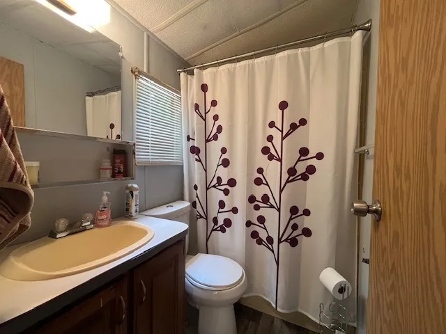 a bathroom with a granite countertop sink toilet and a mirror