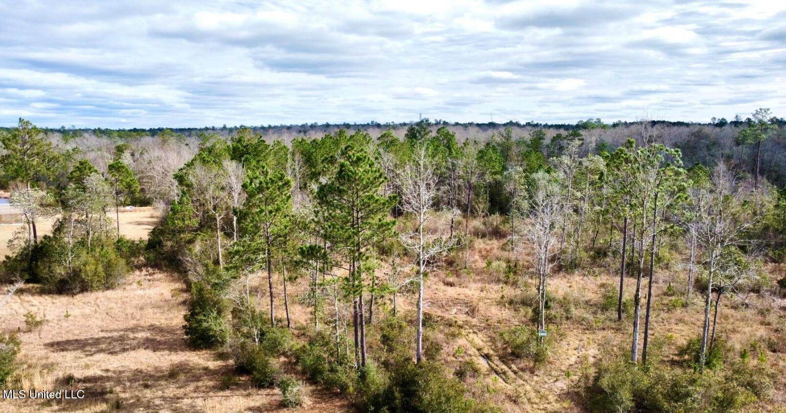 Broken Arrow Kiln, MS 39556 - Photo 4 of 8 Aerial View